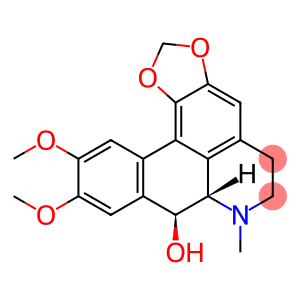 DUGUETINE