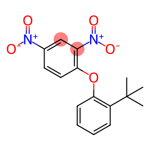 o-tert-Butylphenyl 2,4-dinitrophenyl ether