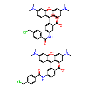 CYTOTRACE橙色荧光示踪探针CMTMR