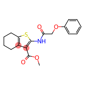 methyl 2-[(phenoxyacetyl)amino]-4,5,6,7-tetrahydro-1-benzothiophene-3-carboxylate