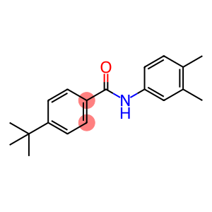 4-tert-butyl-N-(3,4-dimethylphenyl)benzamide