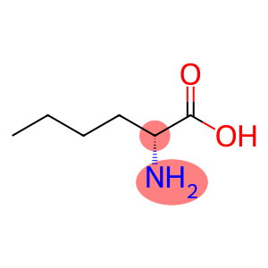 D-nor-Leucine