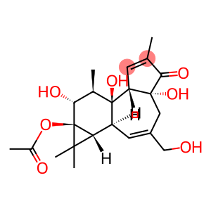 PHORBOL 13-MONOACETATE