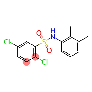 2,5-dichloro-N-(2,3-dimethylphenyl)benzenesulfonamide