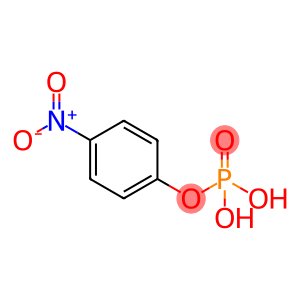 nitrophenylphosphate