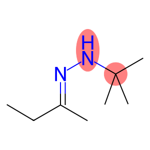 2-Butanone tert-butyl hydrazone