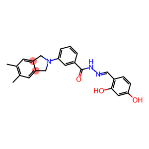 N'-(2,4-dihydroxybenzylidene)-3-(5,6-dimethyl-1,3-dihydro-2H-isoindol-2-yl)benzohydrazide