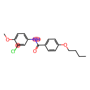 4-butoxy-N-(3-chloro-4-methoxyphenyl)benzamide