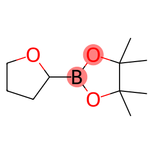 四氢呋喃-2-硼酸频哪醇酯