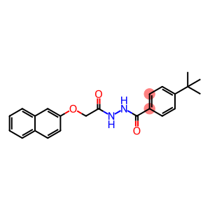 4-tert-butyl-N'-[(2-naphthyloxy)acetyl]benzohydrazide