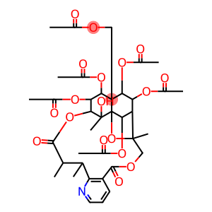 Euonymine