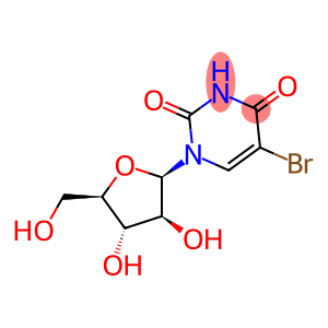 1-BETA-D-阿拉伯呋喃糖基-5-溴尿嘧啶