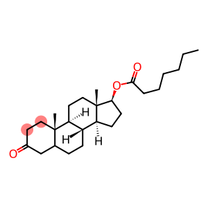 (5α,17β)-17-[(1-Oxoheptyl)oxy]androstan-3-one