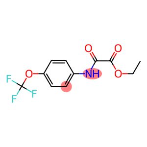 ethyl 2-oxo-2-[4-(trifluoromethoxy)anilino]acetate