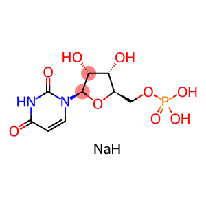5'-尿苷酸二钠
