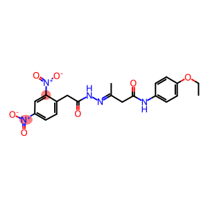 3-[({2,4-dinitrophenyl}acetyl)hydrazono]-N-(4-ethoxyphenyl)butanamide