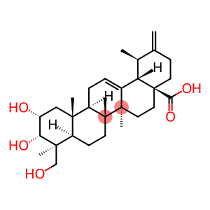 2α,3α,24-Trihydroxyursa-12,20(30)-dien-28-oic acid