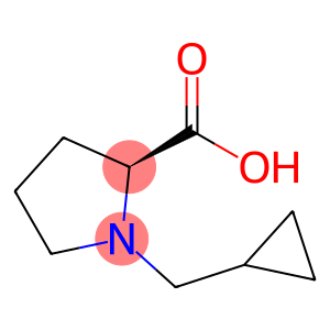 1-环丙基甲基-吡咯烷-2-羧酸盐酸盐