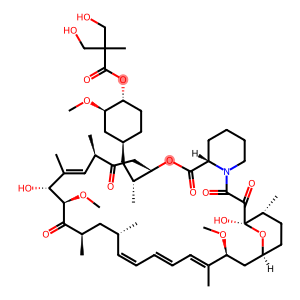 Way-cci 779