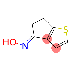 4H-Cyclopenta[b]thiophen-4-one,5,6-dihydro-,oxime(9CI)