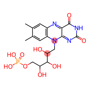 flavin mononucleotide semiquinone