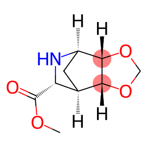 4,7-Methano-1,3-dioxolo[4,5-c]pyridine-6-carboxylicacid,hexahydro-,methylester,(3aS,4R,6R,7R,7aR)-(9CI)