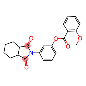 3-(1,3-dioxooctahydro-2H-isoindol-2-yl)phenyl 2-methoxybenzoate