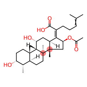 Lumifusidic Acid