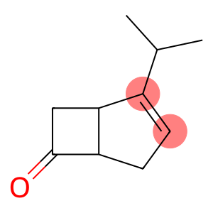 Bicyclo[3.2.0]hept-2-en-6-one, 2-(1-methylethyl)- (9CI)