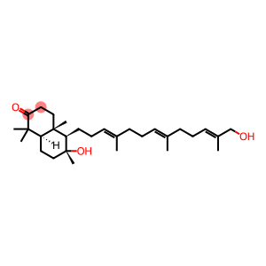 MYRRHANONEA