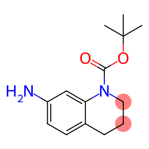 1(2H)-BOC-7-氨基-3,4-二氢喹啉