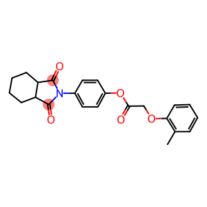 4-(1,3-dioxooctahydro-2H-isoindol-2-yl)phenyl (2-methylphenoxy)acetate