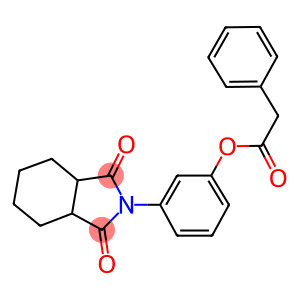 3-(1,3-dioxooctahydro-2H-isoindol-2-yl)phenyl phenylacetate