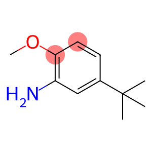 5-tert-butyl-O-anisidine