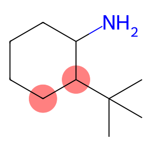 2-tert-Butylcyclohexanamine