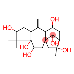 (14R)-Grayanotox-10(20)-ene-3β,5,6β,11α,14,16-hexol