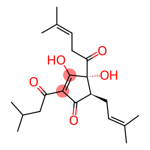 TRANS-ISOHUMULONE