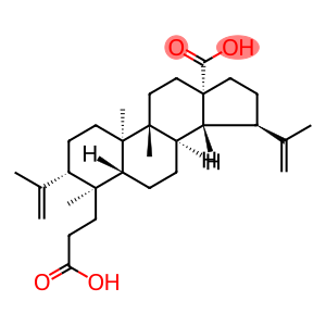 3,4-Secolupa-4(23),20(29)-diene-3,28-dioic acid