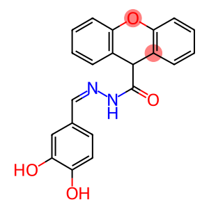 N'-(3,4-dihydroxybenzylidene)-9H-xanthene-9-carbohydrazide