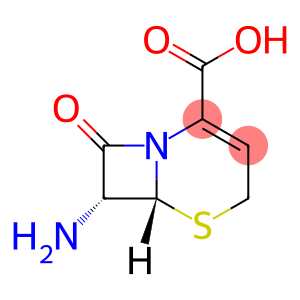 7-AMINO-3-NOR CEPHALOSPORANIC ACID(7-ANCA)