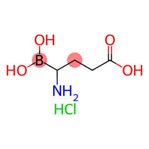Butanoic acid, 4-amino-4-borono-, hydrochloride (9CI)