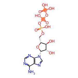 ara-ATP