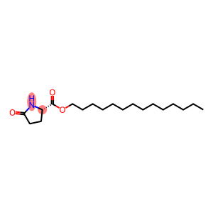 L-Proline, 5-oxo-, tetradecyl ester