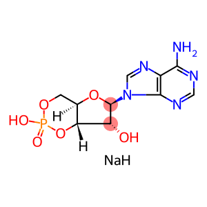 3',5'-环腺苷单磷酸钠盐