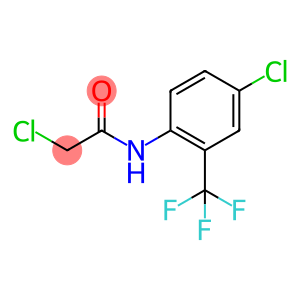 2-氯-N-[4-氯-2-(三氟甲基)苯基]乙酰胺