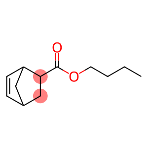 5-降冰片烯-2-羧酸丁酯