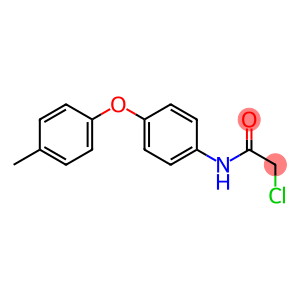 2-CHLORO-N-[4-(4-METHYLPHENOXY)PHENYL]ACETAMIDE