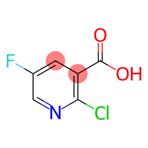 2-Chloro-5-fluoronicotinic acid