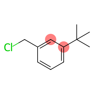 1-tert-butyl-3-(chloroMethyl)benzene