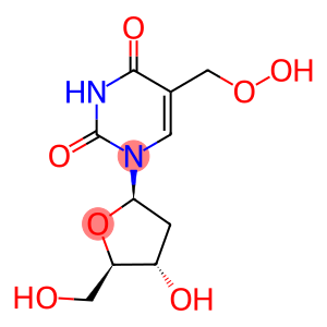 5-hydroperoxymethyl-2'-deoxyuridine